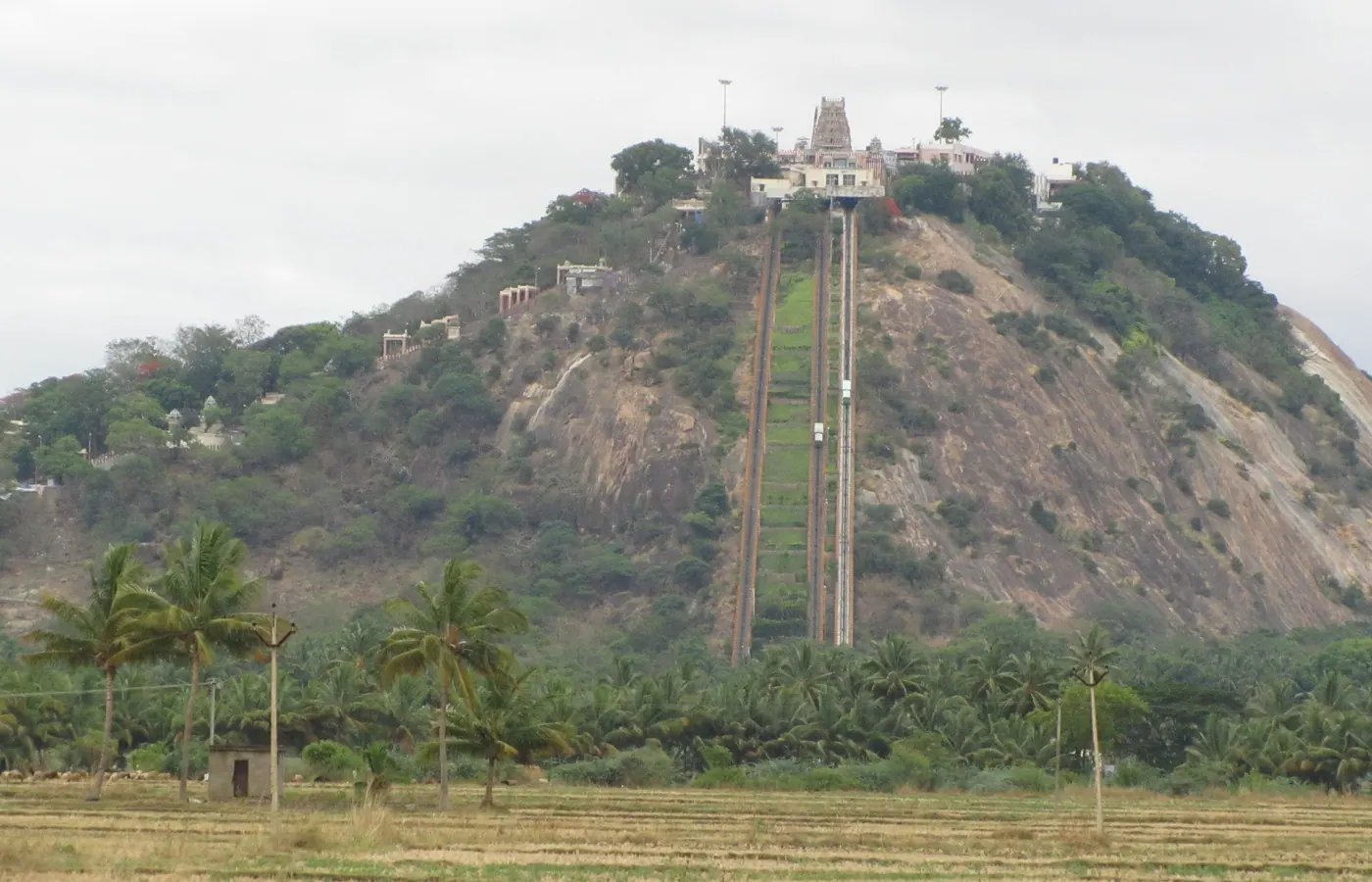 The hilltop Murugan temple at Palani in Tamil Nadu